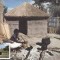 C3598 - Africa de sud-vest carte maxima 1986