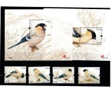 Portugal Azore 2008 - Păsări, serie si colite neuzate