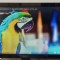 MONITOR ACER K202HQL FUNCTIONEAZA .