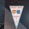 Fanion Romania - Anglia