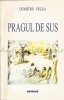 Pragul de Sus - Dumitru Velea, Editura Sitech, 2010, 391 pagini, Studii Literare