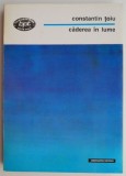 Caderea in lume &ndash; Constantin Toiu