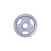 Greutate otel inSPORTline Hamerton 5 kg,