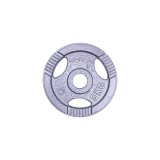 Greutate otel inSPORTline Hamerton 5 kg,