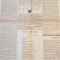 ziarul cultura poporului 3 februarie 1929-articolul &quot; rolul social al femeii &quot;