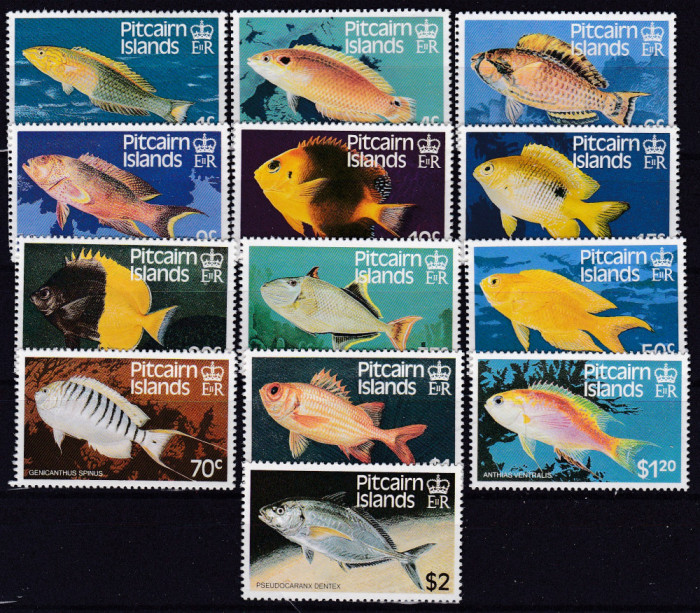 DB1 Fauna Pitcairn 1984 Pesti 13 v. MNH