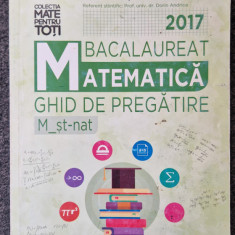 GHID DE PREGATIRE BACALAUREAT 2017 MATEMATICA - Resiga, Magdas