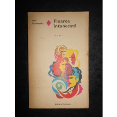 John Galsworthy - Floarea intunecata