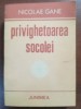 Privighetoarea socolei- Nicolae Gane