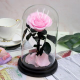 Cumpara ieftin Trandafir criogenat roz bridal bella (&Oslash;=8cm) in cupola 10x20cm