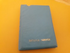 DIAPOZITIVE SISTEMUL NERVOS AL OMULUI 7 FILE,40 BUCATI