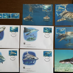 st. kittts - rechini - serie 4 timbre MNH, 4 FDC, 4 maxime, fauna wwf