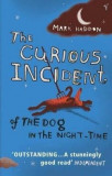 The Curious Incident of the Dog in the Night-time | Mark Haddon, Vintage