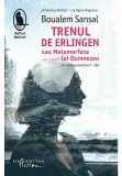 Cumpara ieftin Trenul de Erlingen