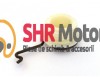 Melc Pompa Ulei Drujba Stihl 029 034 036 039 MS290 MS310 MS340 MS360 MS390 Piese Motoferastrau