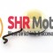 Piese reparatie pompa ulei / Melc drujba Stihl 029 , 034 , 036 , 039 , MS 290 , MS 310 , MS 340 , MS 360 , MS 390