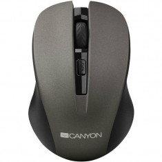 Mouse Canyon CNE-CMSW1G Gray foto