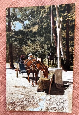 Intre Filiasi si Turnu Severin - RPR - Timbrata, necirculata foto
