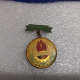 Insigna Pionier de Frunte