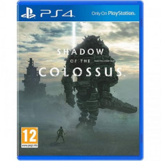 Shadow of the Colossus PS4 foto