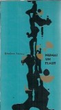Cumpara ieftin Numai un flaut - Stefan Iures