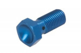 Șurub conductă fr&acirc;nă M10x1,25, colour: Blue (for 1 pipe), Trw