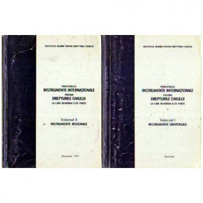 Institutul Roman pentru drepturile omului - Principalele instrumente internationale privind drepturile omului la care Romania es foto