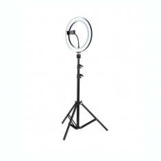 Ring Light 30cm lumina rece/calda -LED, trepied 210cm, suport telefon