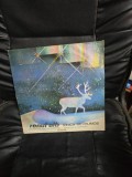 Renul alb - Ionica Fat-Frumos