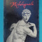 Stefan Popescu &ndash; Michelangelo vremea omul opera