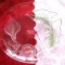 TAVA PLATOU STICLA FRANTA DECOR CALE PLATOU COMPARTIMENTAT 28.5 CM