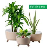Set 3 Ghivece, ginzamaison, model ELITE, 3 Picioare Pliabile, Forma Rotunda, Suport interior pentru Drenaj, Culoare Crem, Diametru: 1x15 cmm, 1x18 cm,
