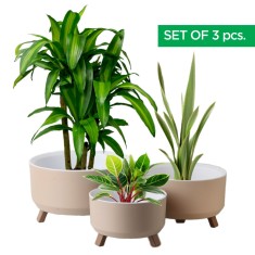 Set 3 Ghivece, ginzamaison, model ELITE, 3 Picioare Pliabile, Forma Rotunda, Suport interior pentru Drenaj, Culoare Crem, Diametru: 1x15 cmm, 1x18 cm,