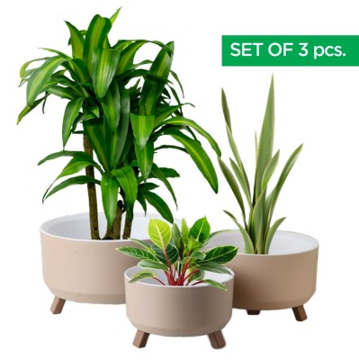 Set 3 Ghivece, ginzamaison, model ELITE, 3 Picioare Pliabile, Forma Rotunda, Suport interior pentru Drenaj, Culoare Crem, Diametru: 1x15 cmm, 1x18 cm, foto