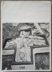 Pliant Marian Zidaru foto