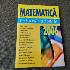 MATEMATICA PENTRU TESTAREA NATIONALA 2006 GINA GABA ,RF22/4