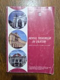 Mersul Trenurilor 2009 - 2010, CFR / R7P4S