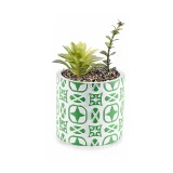 Cumpara ieftin Planta suculenta artificiala in ghiveci ceramica alba verde &Oslash; 11 cm x 19 H