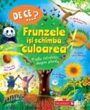 DE CE? Frunzele isi schimba culoarea si alte intrebari despre plante, Andrew Charman