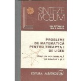 Probleme de matematica pentru treapta I de liceu. Functia polinomiala de gradul I si II - Ion Mitrache