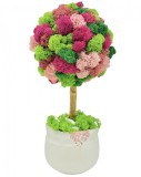 Aranjament floral personalizabil, mic 27 cm, tip copacel pomisor cu licheni naturali stabilizati in vas ceramic (Multicolor), Eventissimi&reg;