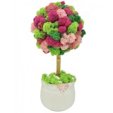 Aranjament floral personalizabil, mic 27 cm, tip copacel pomisor cu licheni naturali stabilizati in vas ceramic (Multicolor)