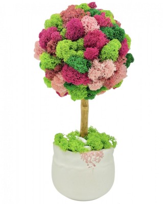 Aranjament floral personalizabil, mic 27 cm, tip copacel pomisor cu licheni naturali stabilizati in vas ceramic (Multicolor) foto