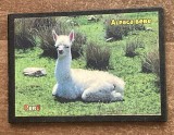 D5 - Magnet frigider - tematica turism - Peru 2