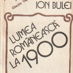 ION BULEI - LUMEA ROMANEASCA LA 1900
