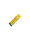 PASTAIE DE VANILIE BIO 2GR