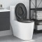 vidaXL Toaletă cu eliberare rapidă Antracit 44.5 x 37.3 x 4.3 cm