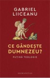 Ce gandeste Dumnezeu? Putina teologie - Gabriel Liiceanu