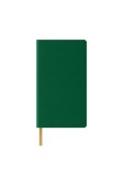 Agenda nedatata A5 Castelli, coperta rigida Caribe verde, dictando ivory, Litera