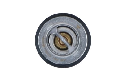 NRF 725176 EASY FIT termostat,lichid racire foto